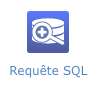 Bouton Requête SQL.png