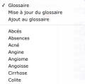 GLOSSAIRES Acces.png